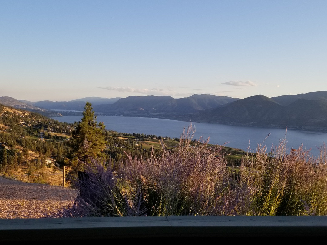 Forgotten Hill Bed & Breakfast主图