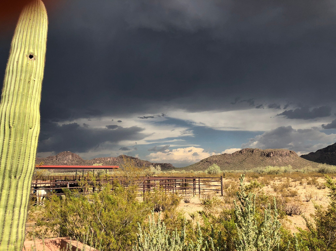 白马牧场酒店主图