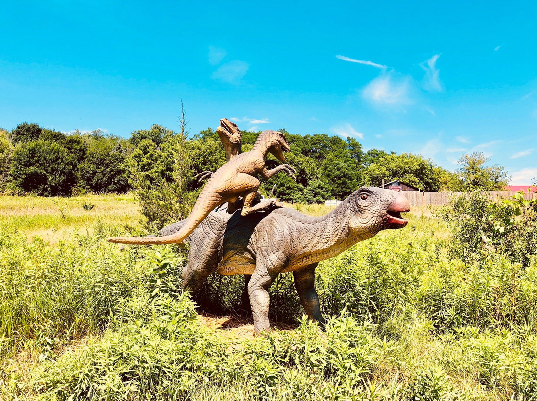 2023年12月Indian River Reptile Zoo景点攻略Indian River Reptile Zoo门票预订地址图片