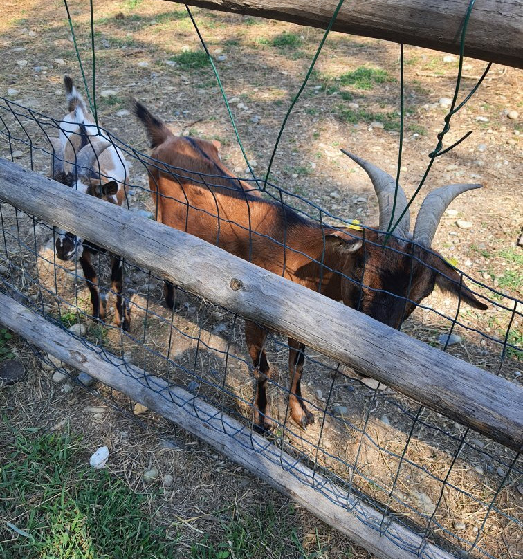 Agriturismo Campofelice主图