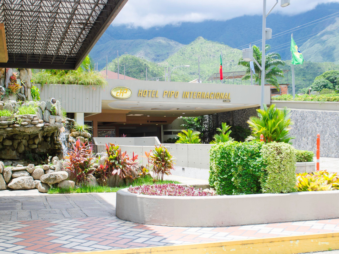 Pipo International Hotel主图