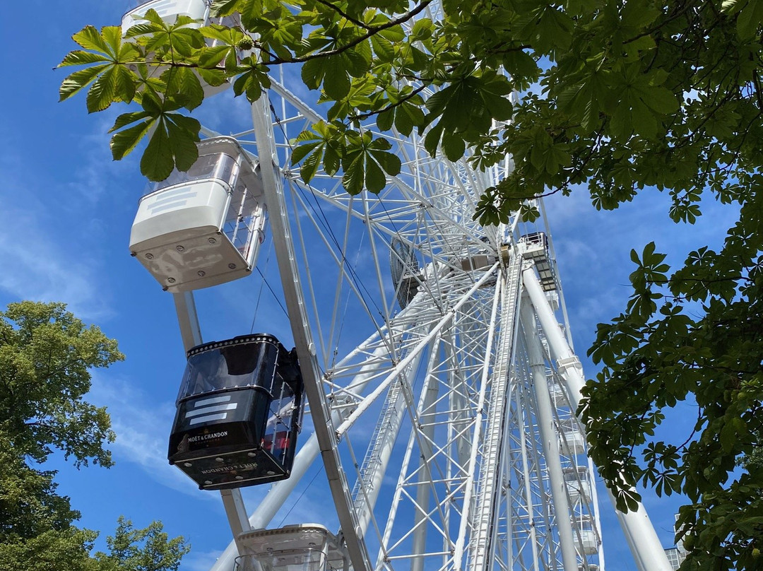 Stadtpark Rotehorn景点图片