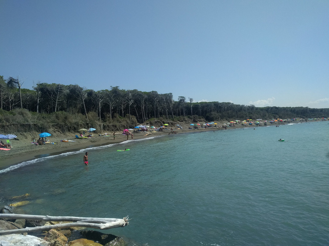 Marina di Bibbona - Marina di Cecina Trail景点图片