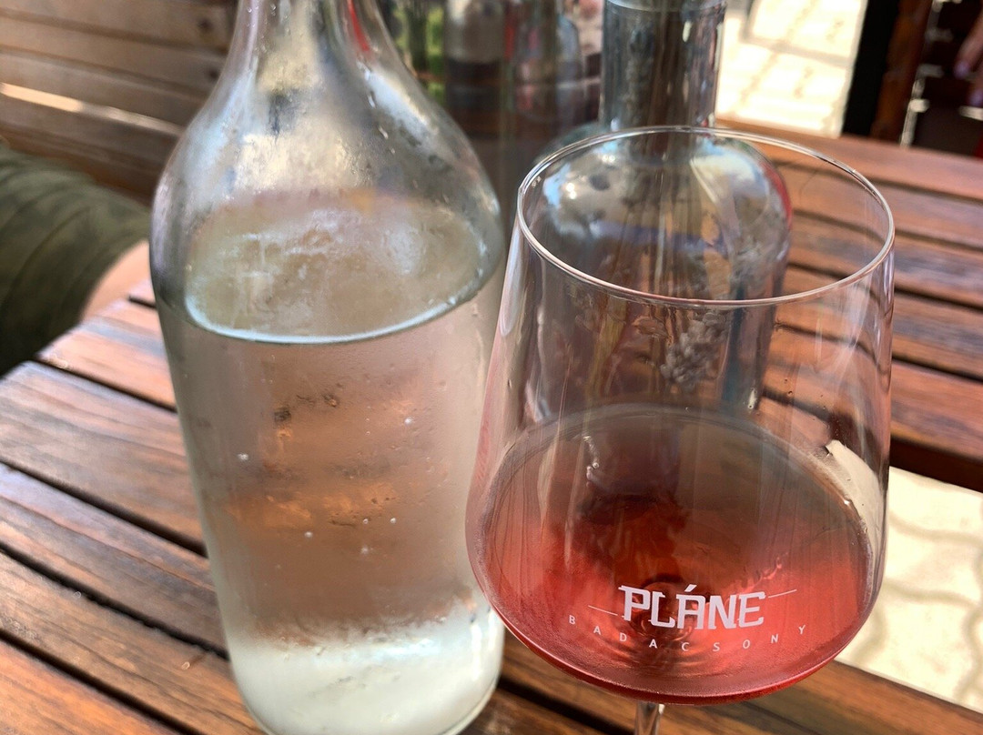 Pláne Badacsony Wine terrace景点图片