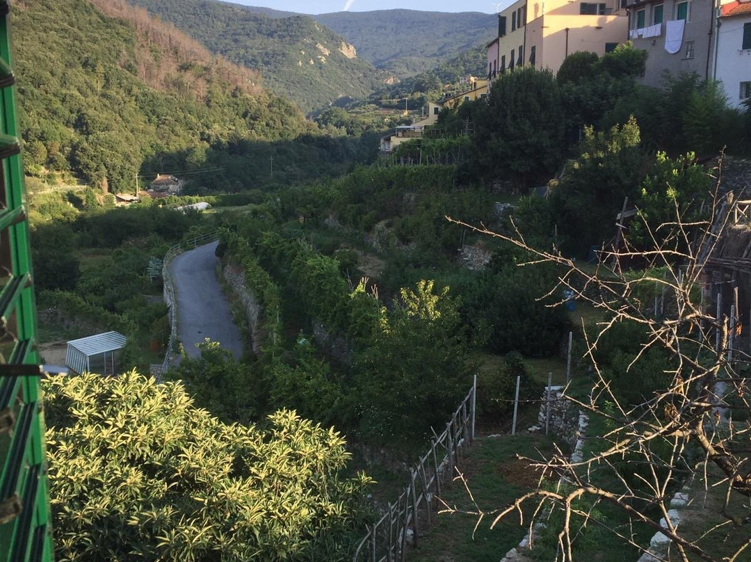 Locanda Borgo Antico主图