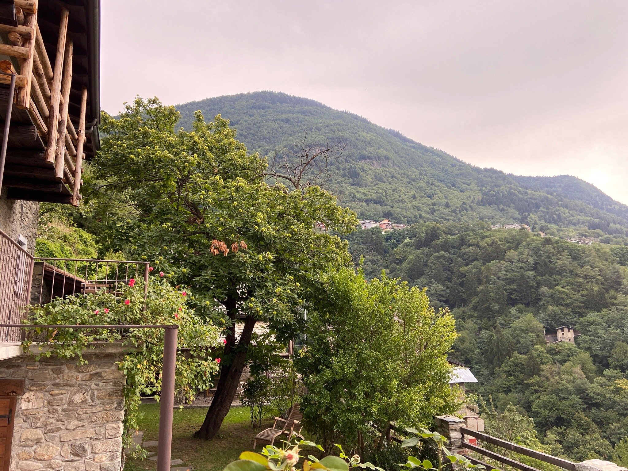 B&B Il Dosso - Maroggia-官方