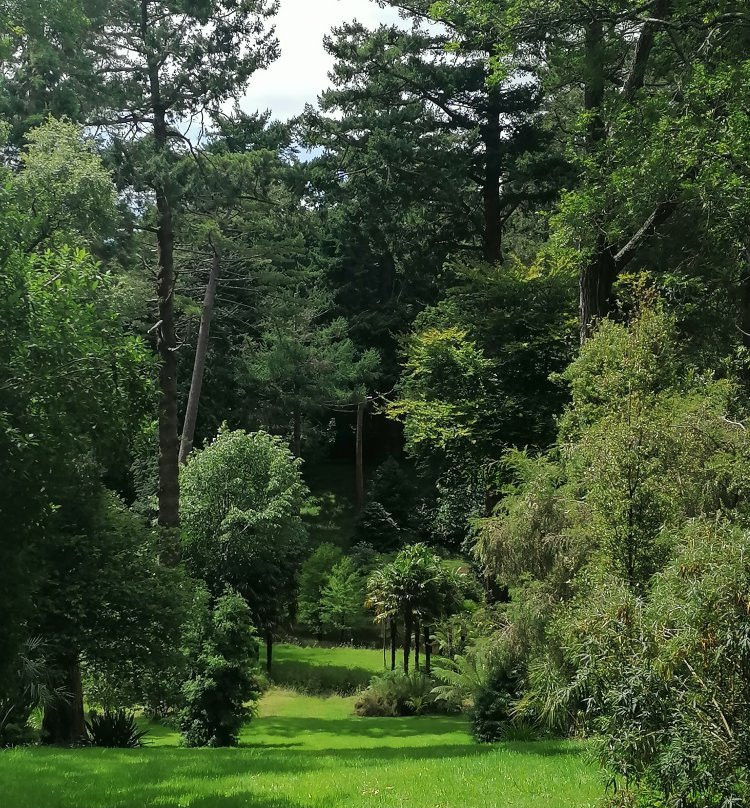 Tregrehan Garden景点图片