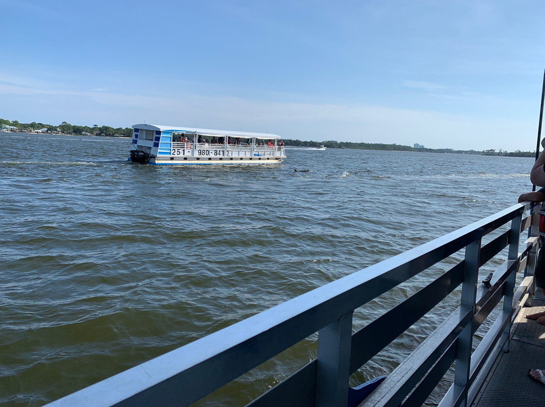 Blue Dolphin Cruises-Perdido Key必去景点