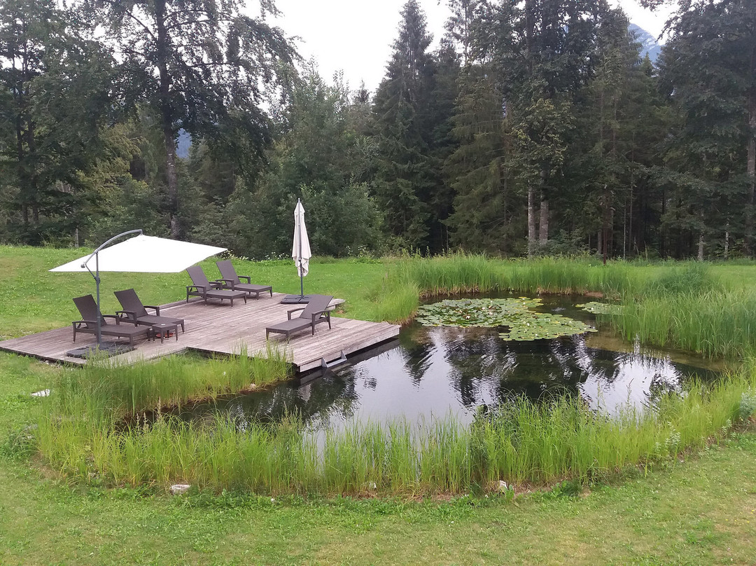 Chalet Giasenei主图