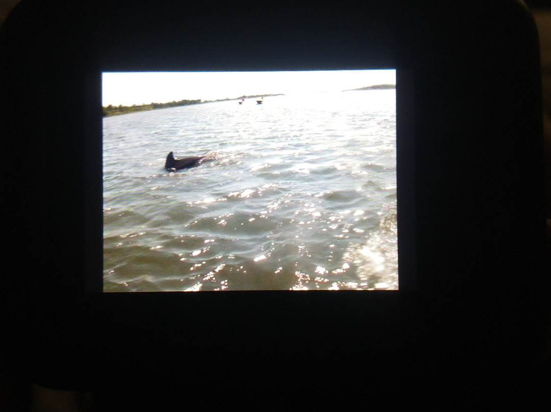 Makin Waves JetSki Rentals-Sneads Ferry必去景点