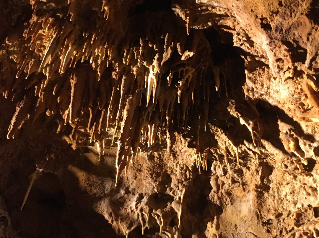 Grotte du Bosc景点图片