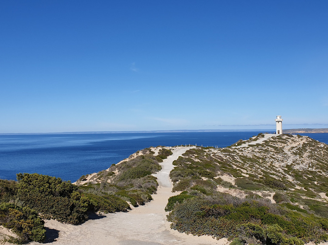Cape Spencer Lighthouse-Inneston必去景点