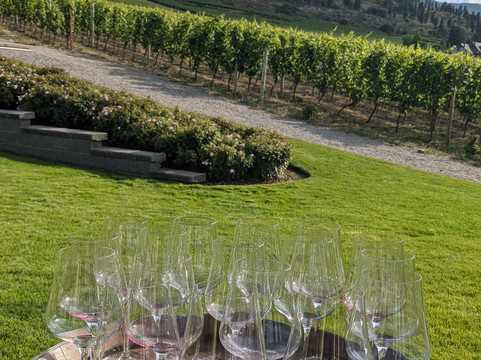 Sip And Anchor Luxury Wine Tours & Boat Charters-基洛纳必去景点