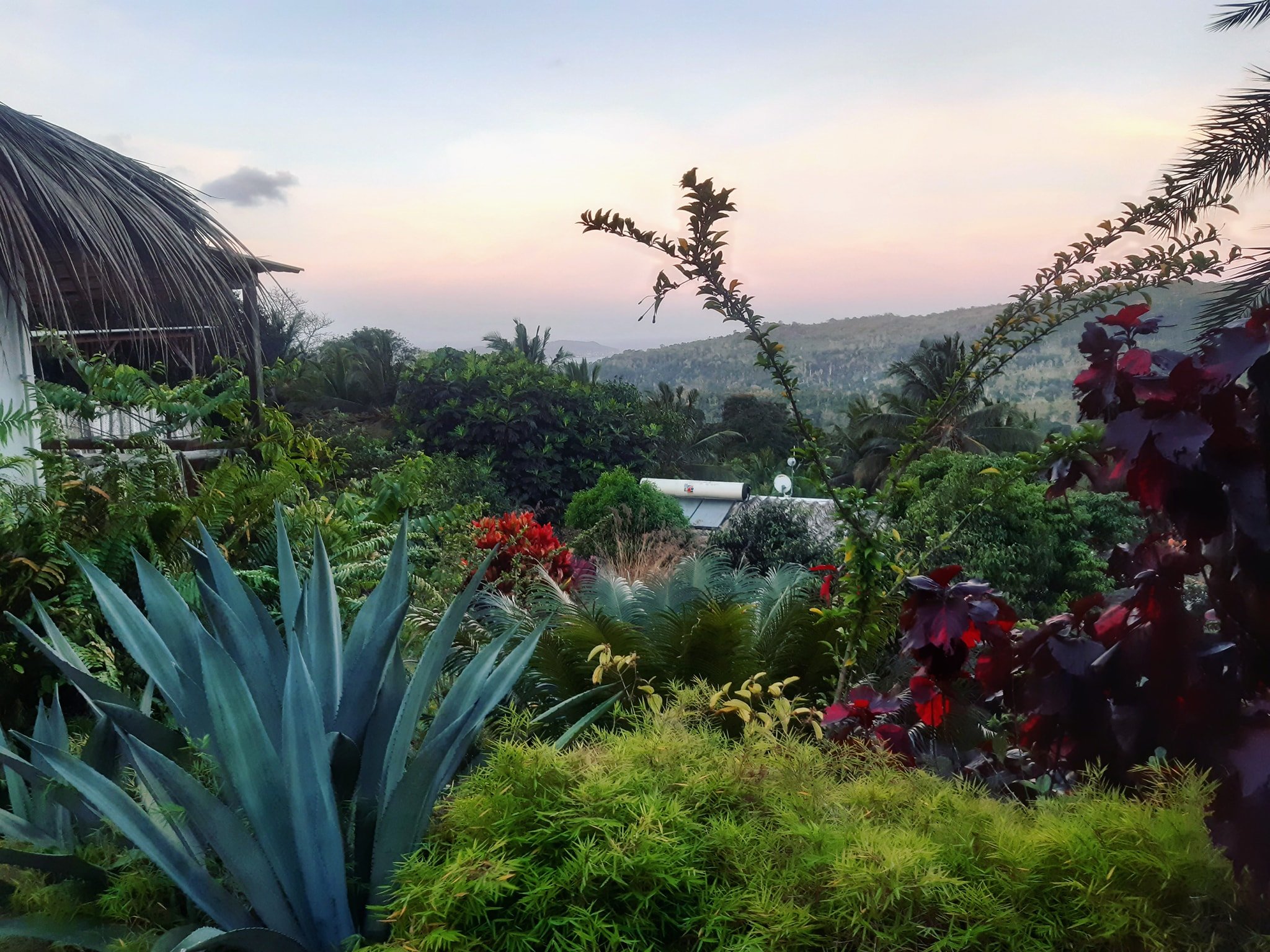 Le Relais Forestier-酒店景观