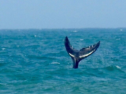 Praia Balneario Figueirinha-Jaguaruna必去景点