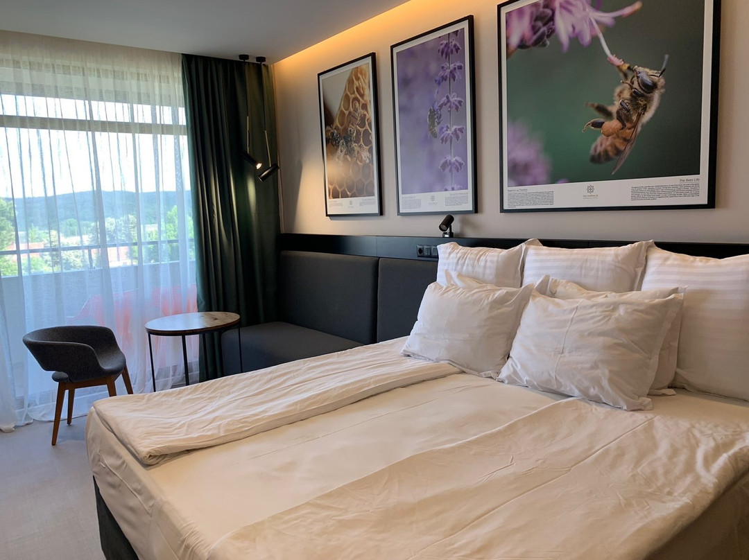 Sevtopolis Hotel Medical & SPA主图