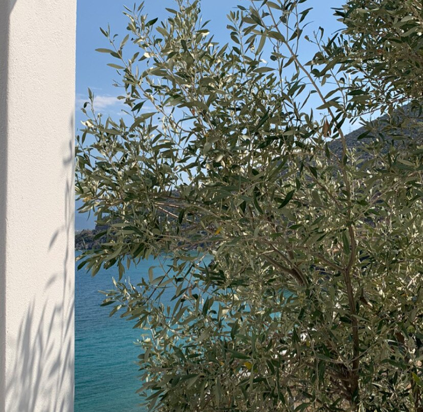 Muses Seaside Villas主图