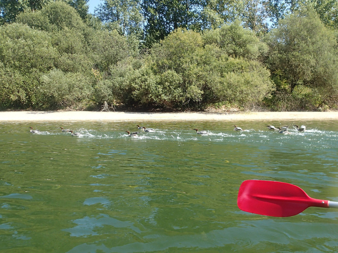 Canoe l'Esquimaude景点图片