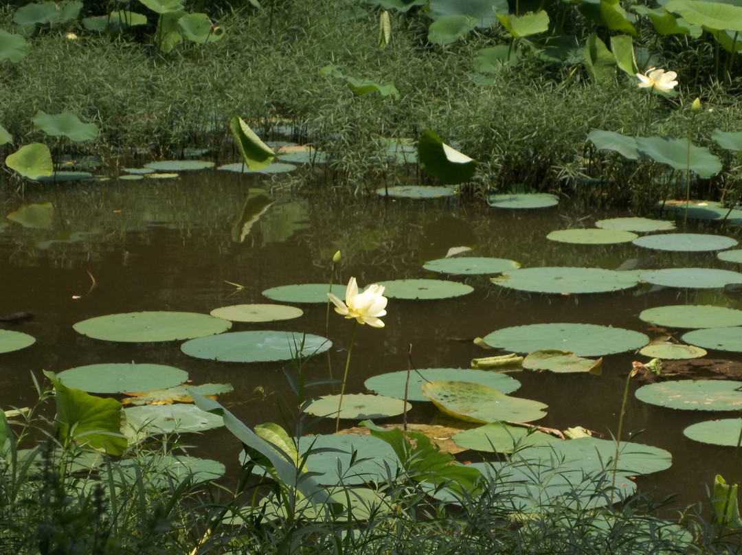 Hardy Lake State Park-Scottsburg必去景点