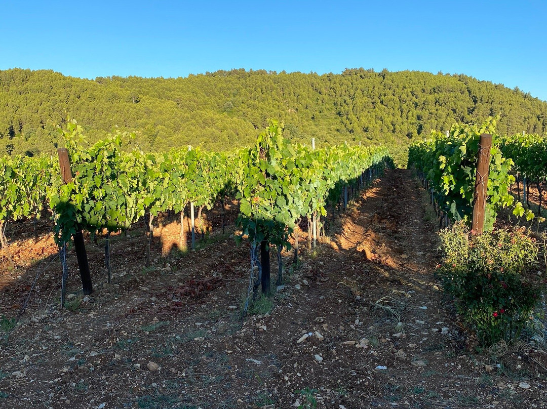 Tenuta Padre Pio-维耶斯泰必去景点