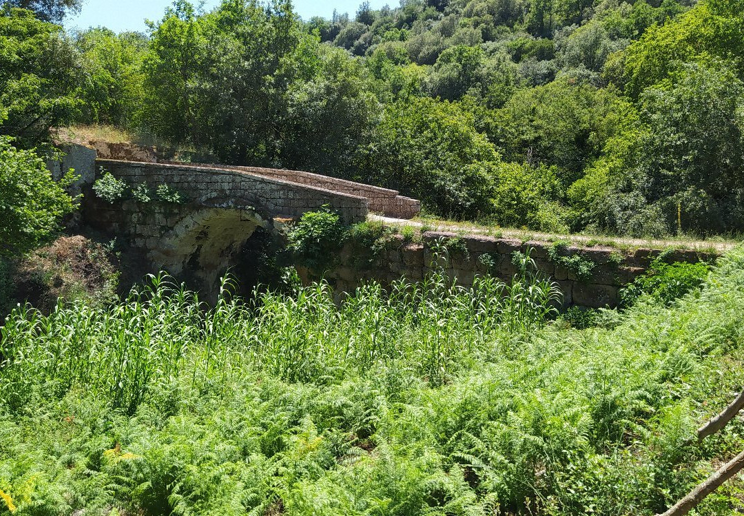 Necropoli Rupestri di San Giovenale e Terrone景点图片