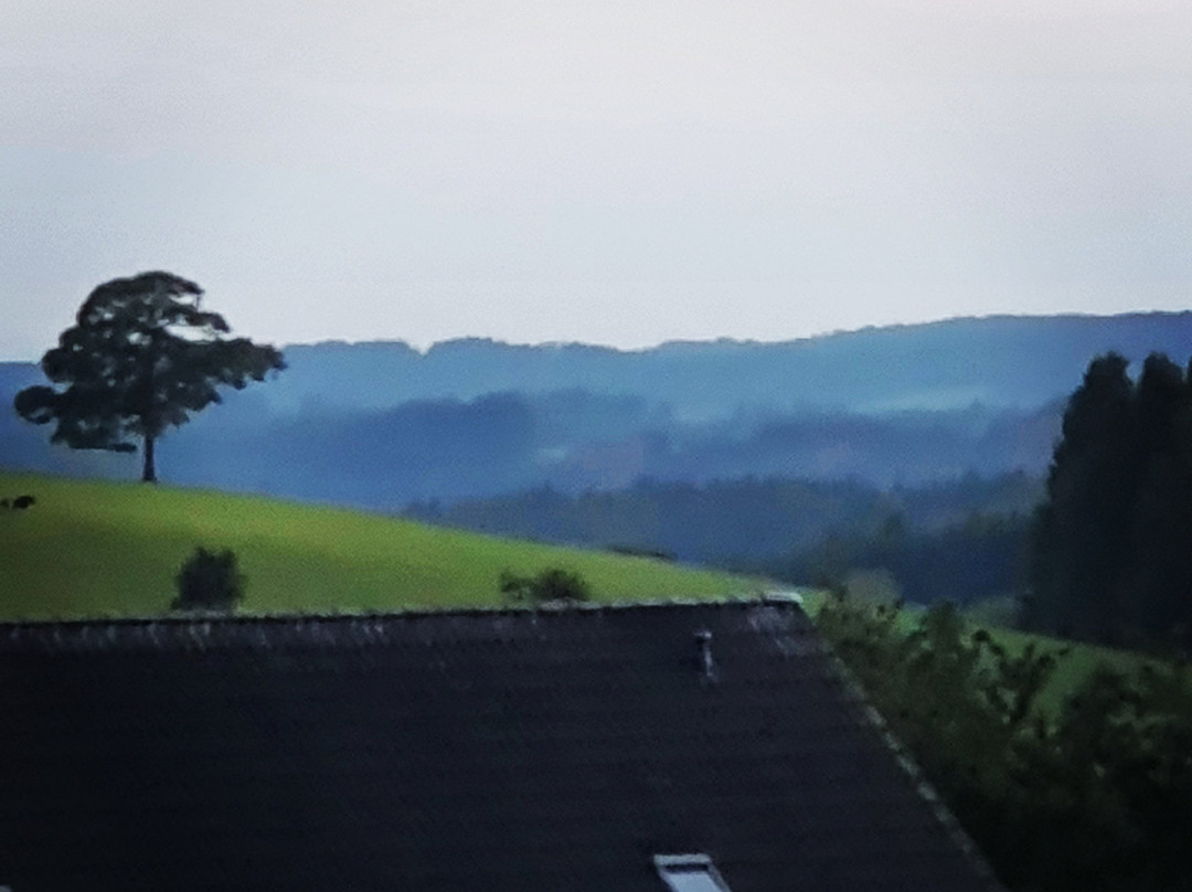 Landhotel Napoleon主图