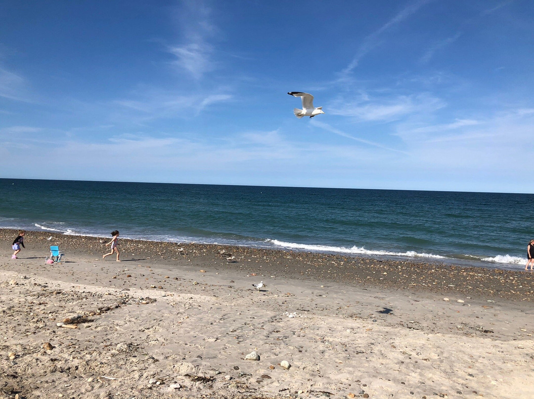 Duxbury Beach Park景点图片