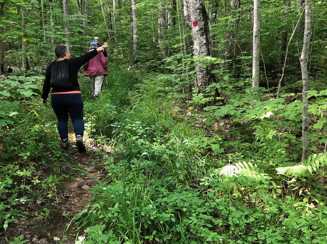 North End Trails景点图片