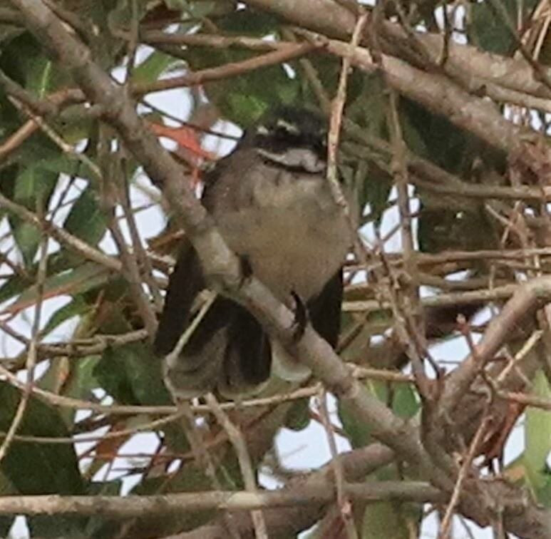 Manea Park-班伯利必去景点