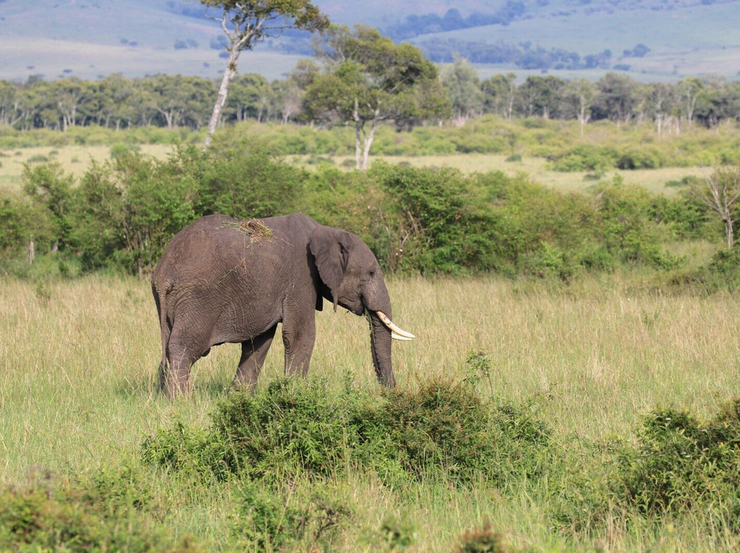 Wild Experience Africa-Wakiso必去景点