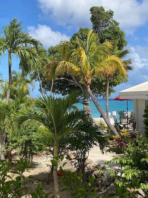 Sand Castle On The Beach主图