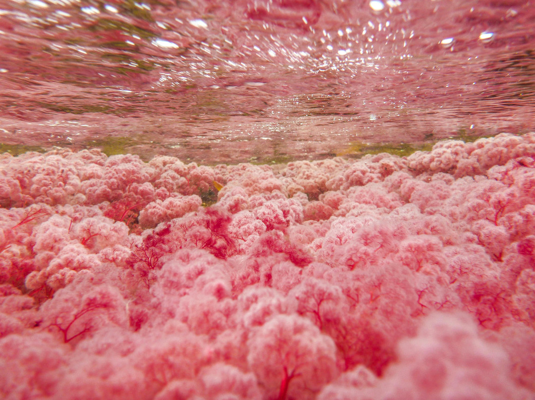 Macarenia Travel-La Macarena必去景点