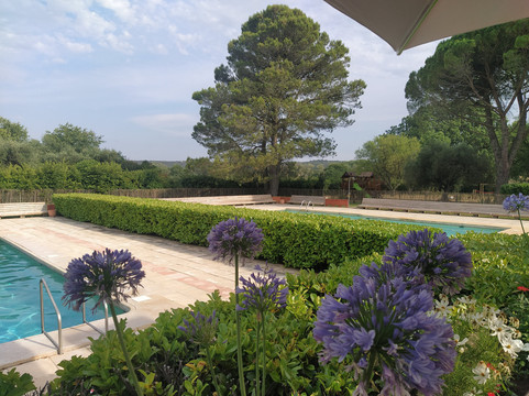 新磨坊地区酒店主图