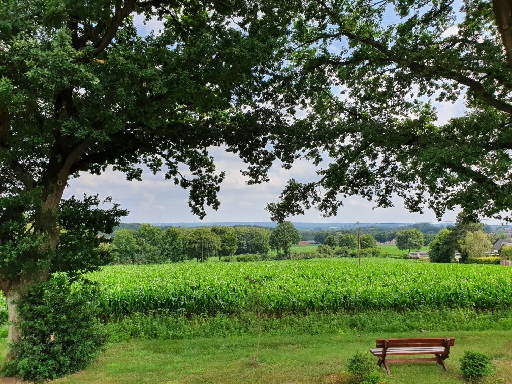 Berghotel Hohe Mark主图