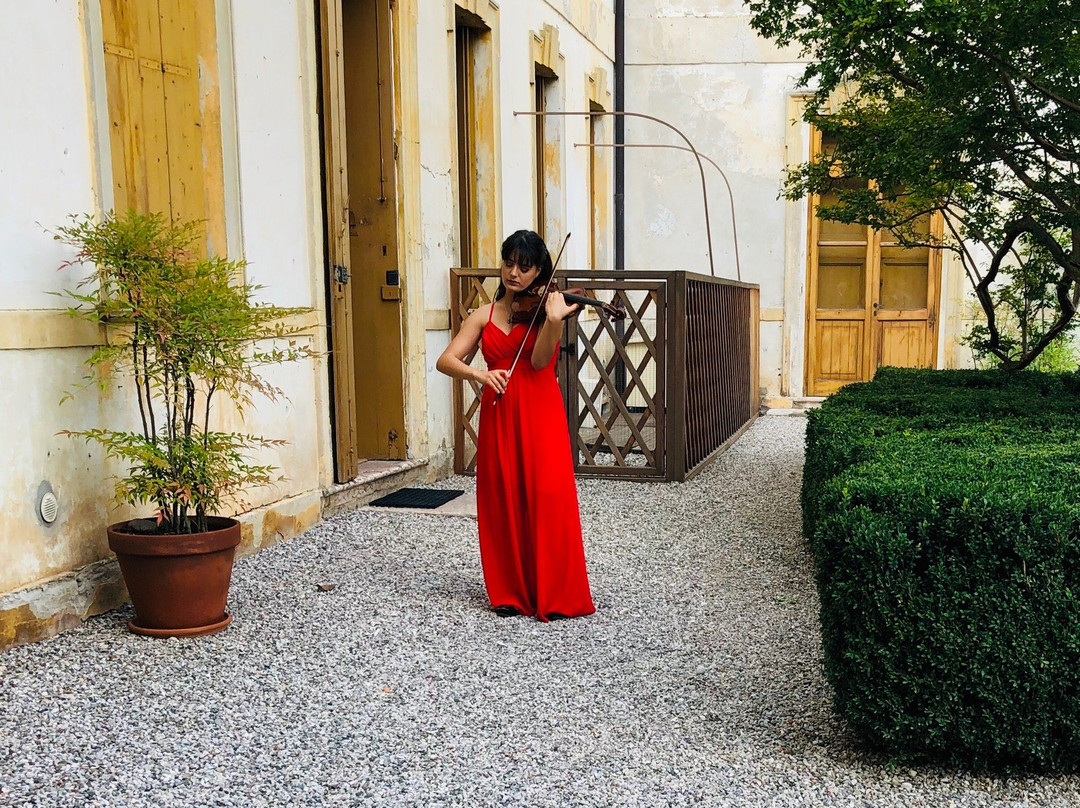 Villa Orsato, Cittadella Vigodarzere - Gallarati Scotti, detta "del Conte"景点图片