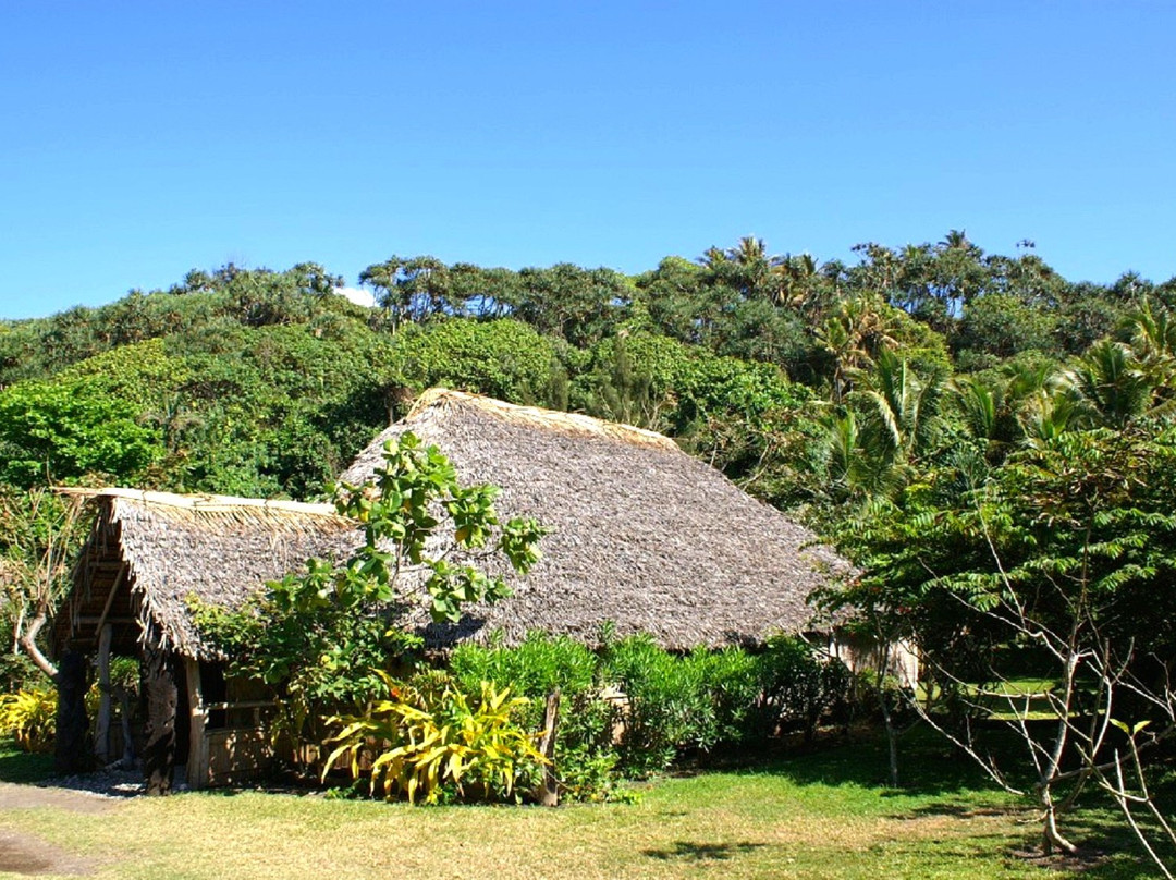Bay des Tortues Turtle Bay-塔纳岛必去景点