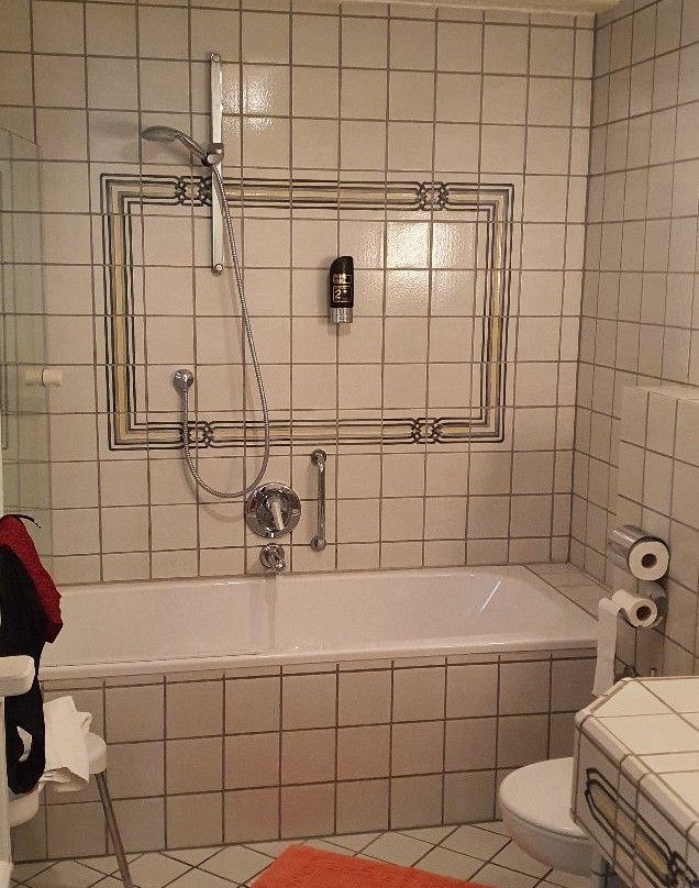 Hotel Weisses Ross主图