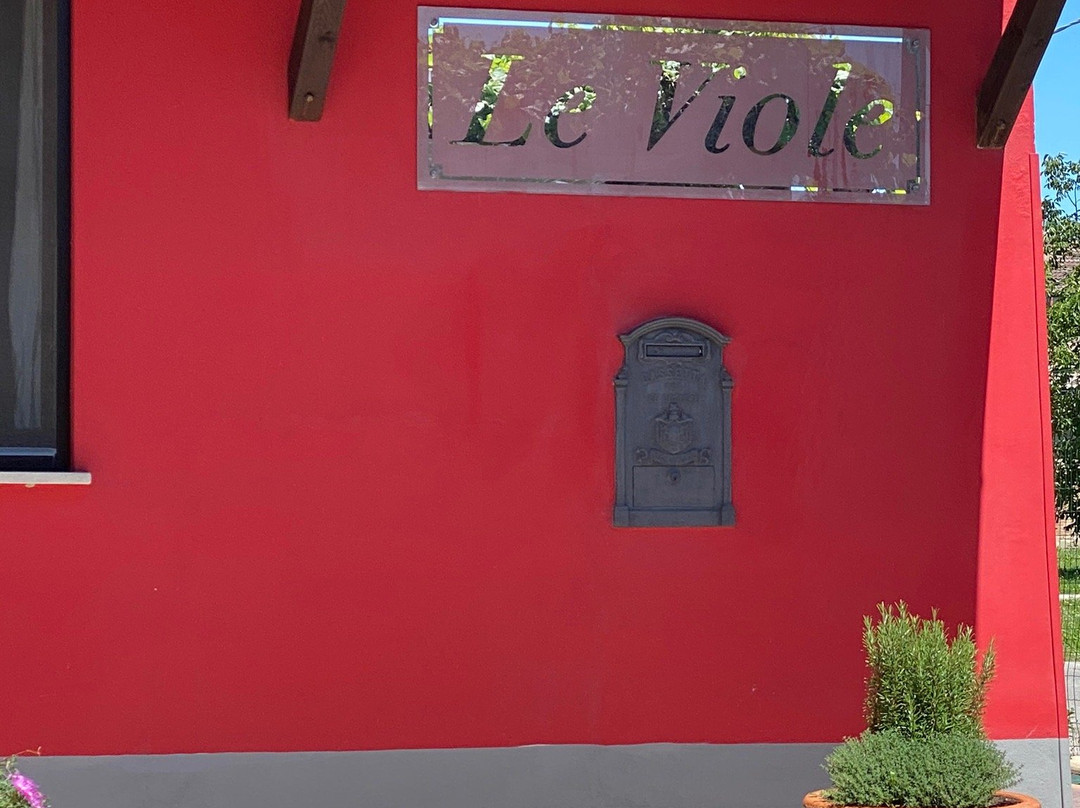 Le Viole主图