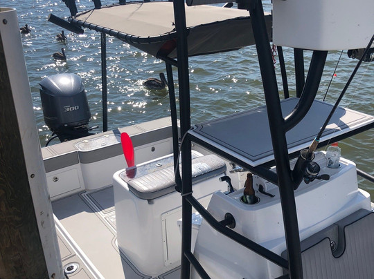 Sea Reed Charters-迈尔斯堡必去景点