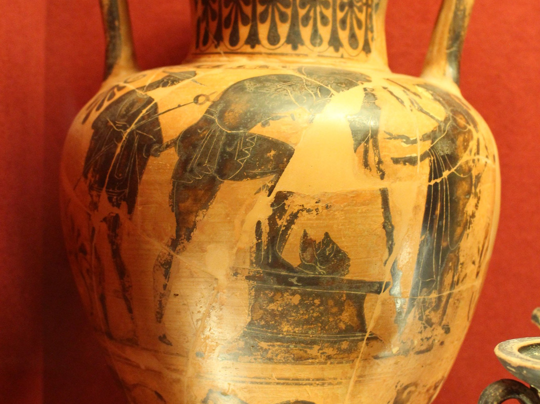 Museo Archeologico e d'Arte della Maremma景点图片