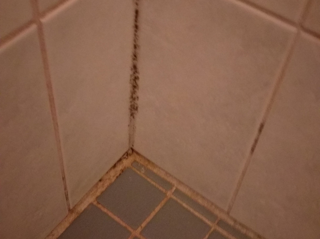 米勒平房汽车旅馆主图