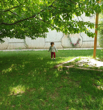 Yaylabasi Sirik Kebabi