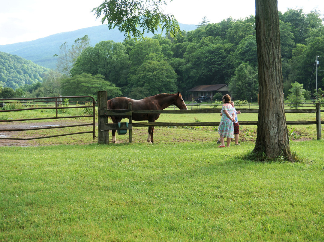 Smoke Hole Caverns & Log Cabin Resort主图