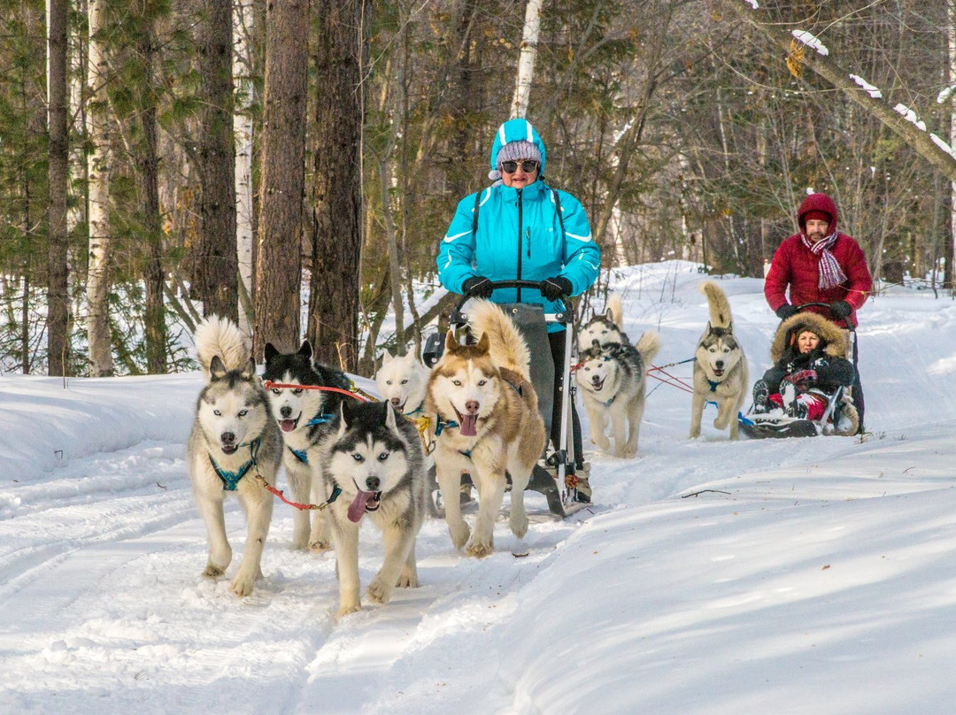 Husky Park Utulik景点图片