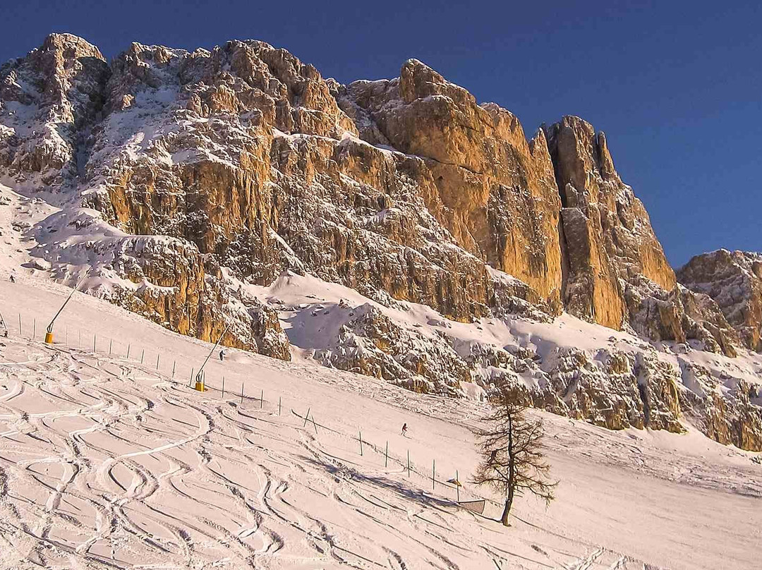 阿德勒酒店主图