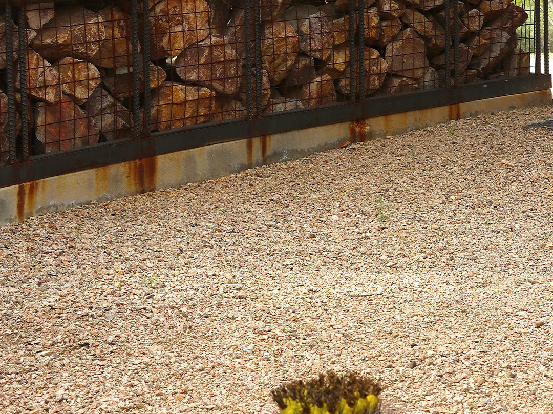 The Ritz-Carlton Dove Mountain Spa-马拉纳必去景点