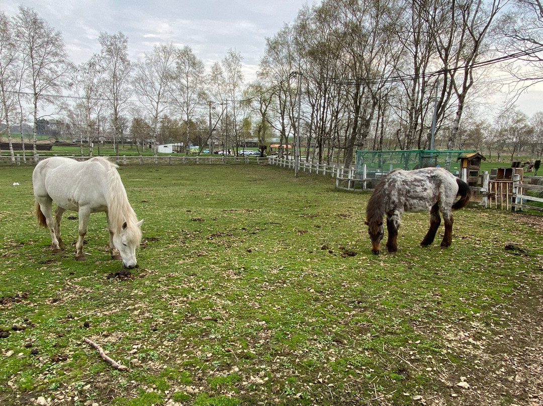 Hokkaido Hakone Farm-千岁市必去景点