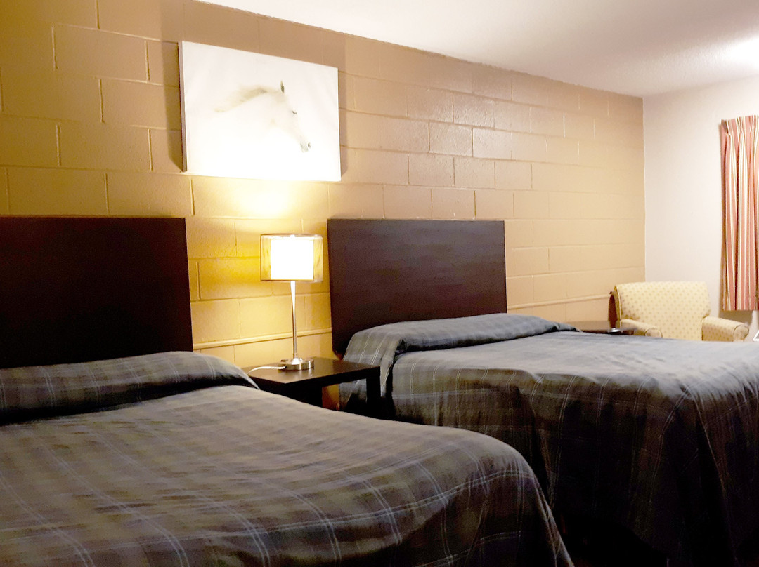 Hotel Richmond Hill ON North主图