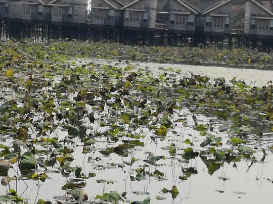 Hupin Hotel Khaung Daing主图