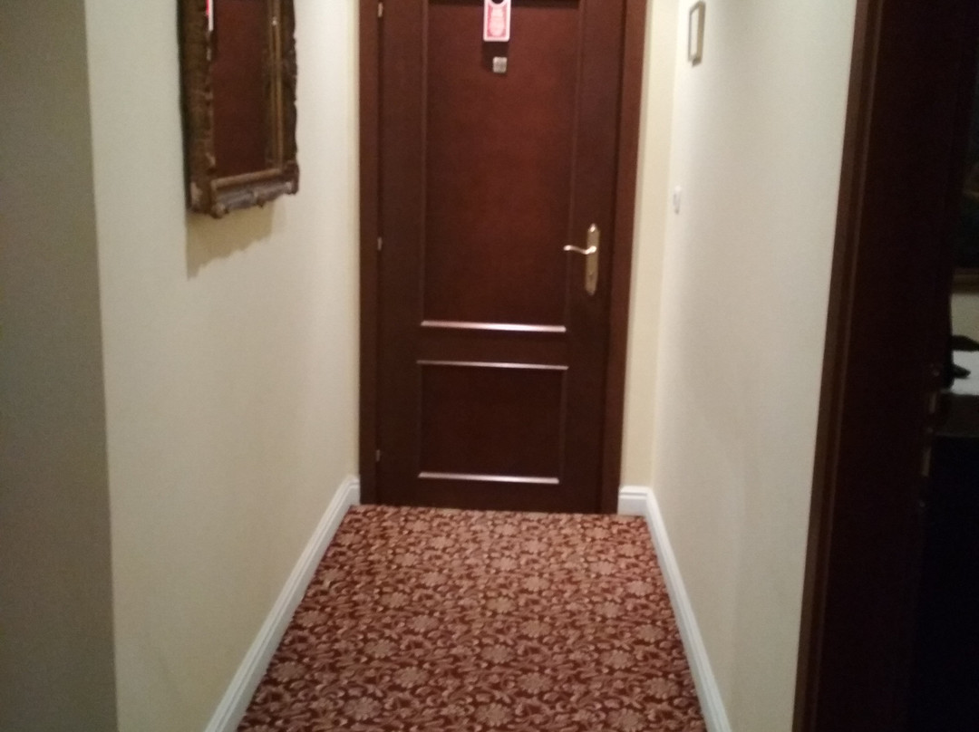 Casa Del Sole Boutique Hotel Timișoara主图